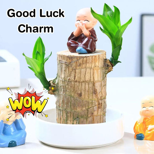 Lucky Wood Mini Home Plant Decorations  (Buy 1 Get 1 Free)