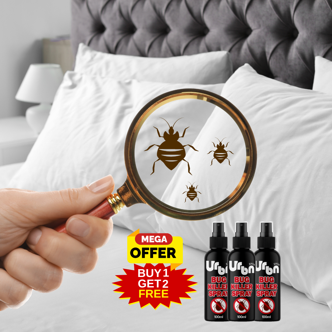 Bug Killer Spray | BUY 1 GET 2 FREE