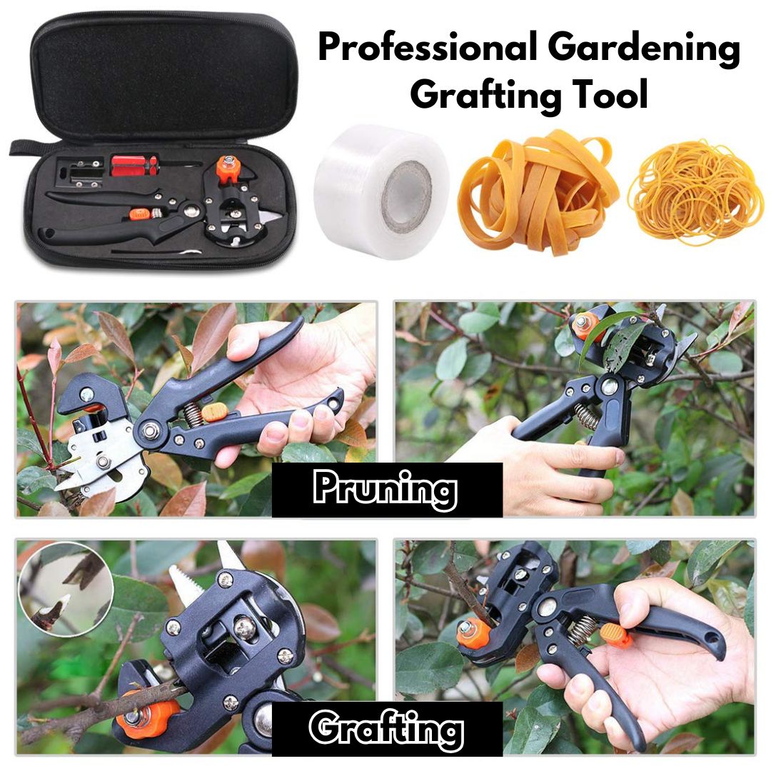 Hybrid Grafting Kit (Pack of 5) (FREE GRAFTING TAPE)