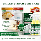 Oxalic Acid Cleaner Scale & Rust Removal Expert | BUY 1 GET 1 FREE!