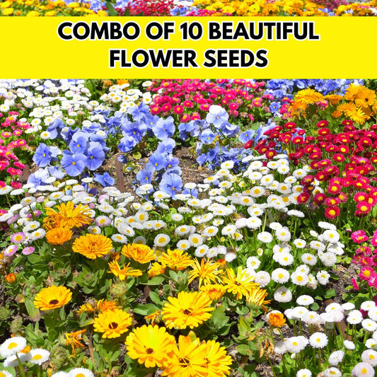 Multiple Flower Seeds