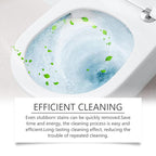 Oxalic Acid Cleaner Scale & Rust Removal Expert | BUY 1 GET 1 FREE!